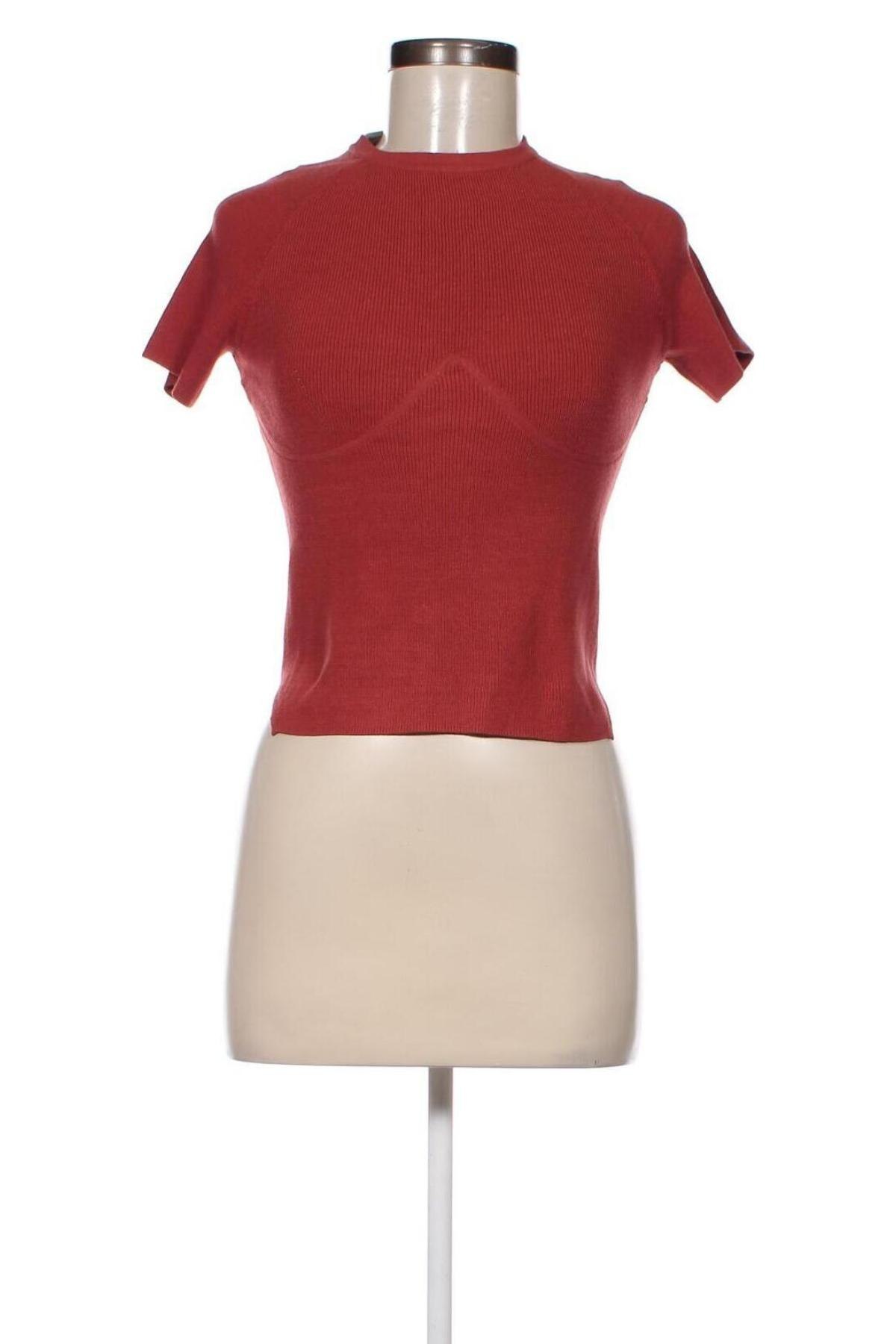 Damen Shirt Etam, Größe XS, Farbe Braun, Preis € 9,99