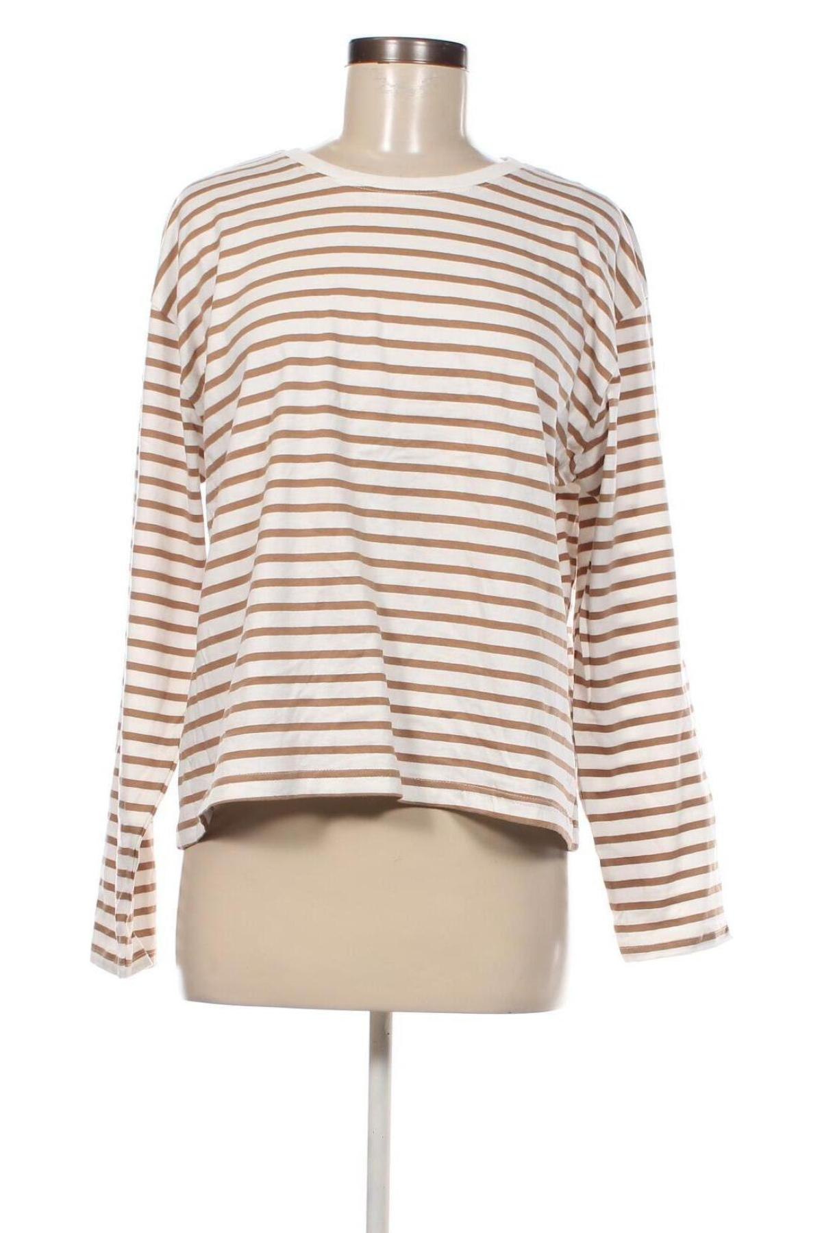 Damen Shirt Zeeman, Größe L, Farbe Mehrfarbig, Preis 13,22 €