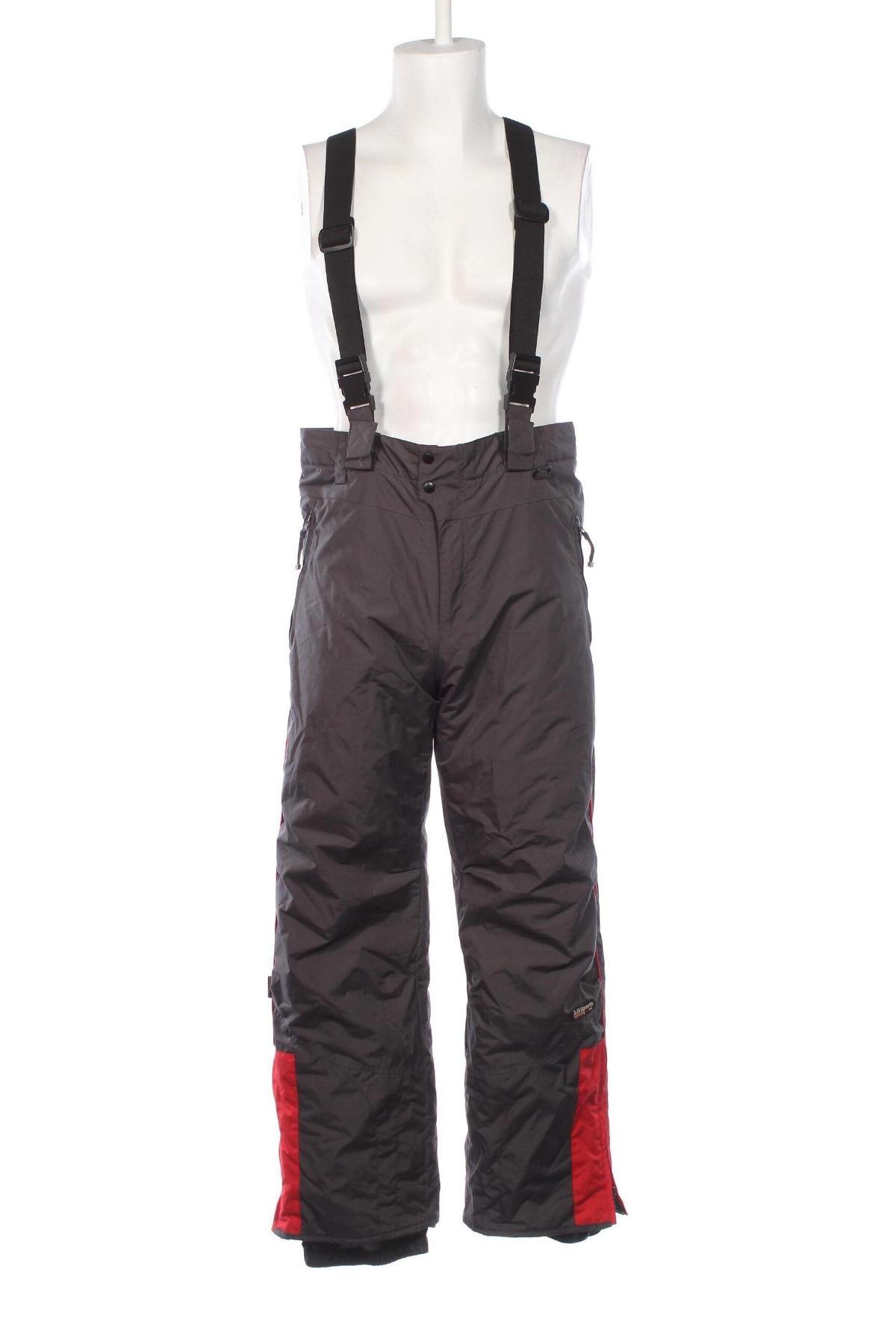 Herrenhose für Wintersport, Größe M, Farbe Grau, Preis € 18,49