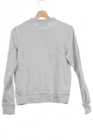 Damen Shirt Calvin Klein, Größe XS, Farbe Grau, Preis € 61,99