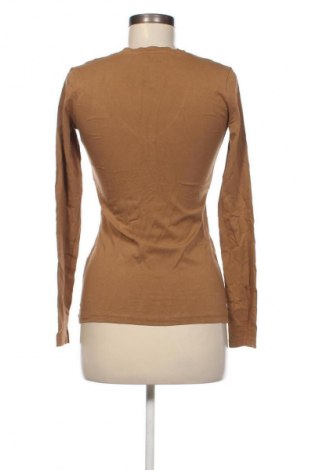Damen Shirt Calvin Klein Jeans, Größe S, Farbe Braun, Preis € 15,99
