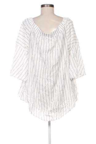 Damen Shirt Canda, Größe L, Farbe Mehrfarbig, Preis € 5,99