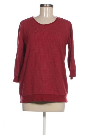 Damen Shirt Cecil, Größe L, Farbe Mehrfarbig, Preis € 23,99
