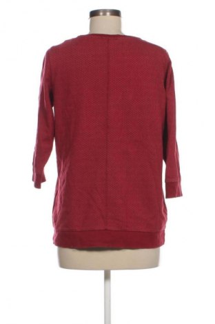 Damen Shirt Cecil, Größe L, Farbe Mehrfarbig, Preis € 23,99