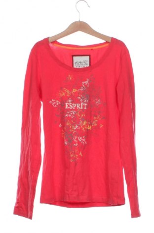 Damen Shirt Esprit, Größe XS, Farbe Mehrfarbig, Preis € 9,99