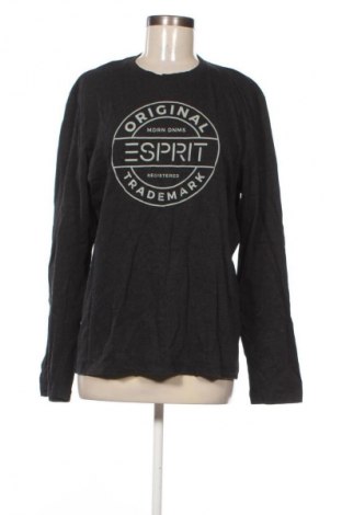 Damen Shirt Esprit, Größe L, Farbe Schwarz, Preis € 23,99