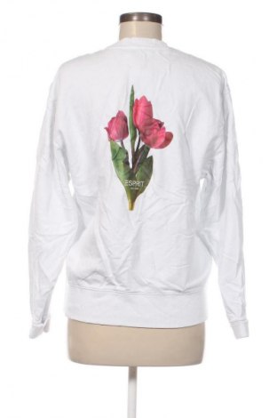 Damen Shirt Esprit, Größe M, Farbe Weiß, Preis € 23,99