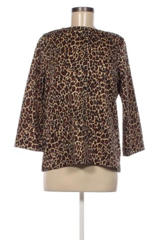 Damen Shirt Essentials, Größe L, Farbe Mehrfarbig, Preis 13,99 €