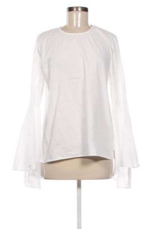 Damen Shirt Essentiel, Größe L, Farbe Weiß, Preis 33,99 €