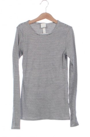 Damen Shirt H&M, Größe XS, Farbe Mehrfarbig, Preis € 5,99