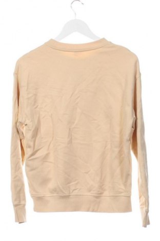Damen Shirt Levi's, Größe XS, Farbe Ecru, Preis € 33,99