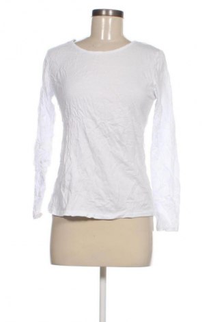 Γυναικεία μπλούζα NEW COLLECTION, Μέγεθος S, Χρώμα Λευκό, Τιμή 49,99 €
