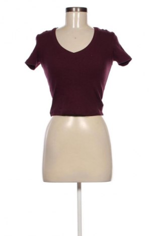 Damen Shirt Ole By Koton, Größe S, Farbe Schwarz, Preis € 21,99