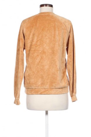 Damen Shirt PLNY LALA, Größe S, Farbe Beige, Preis 9,79 €