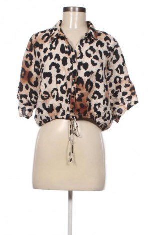 Damen Shirt Primark, Größe L, Farbe Mehrfarbig, Preis € 13,99