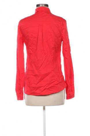 Damen Shirt Promod, Größe S, Farbe Rot, Preis € 9,99