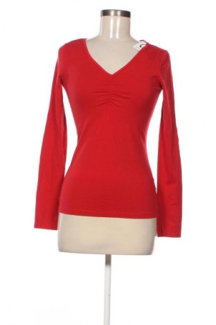 Damen Shirt Sinsay, Größe S, Farbe Rot, Preis € 13,99