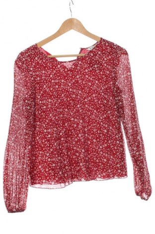 Damen Shirt Stradivarius, Größe XS, Farbe Mehrfarbig, Preis 10,00 €