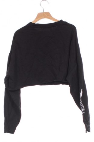 Damen Shirt Terranova, Größe XS, Farbe Mehrfarbig, Preis € 13,99