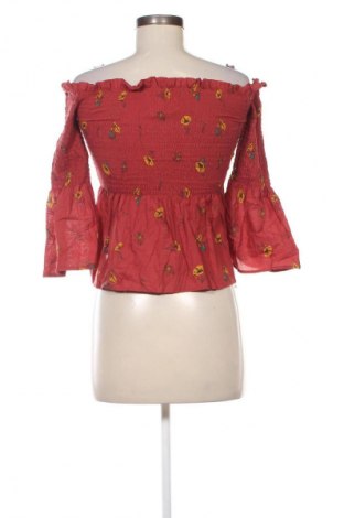 Damen Shirt Terranova, Größe M, Farbe Mehrfarbig, Preis € 5,99
