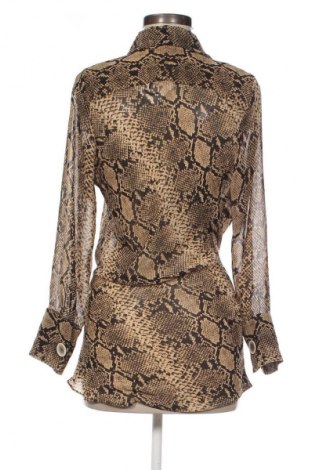 Damen Shirt Zara, Größe M, Farbe Mehrfarbig, Preis € 18,99