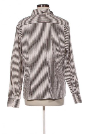 Damenbluse Adagio, Größe XL, Farbe Mehrfarbig, Preis € 17,99