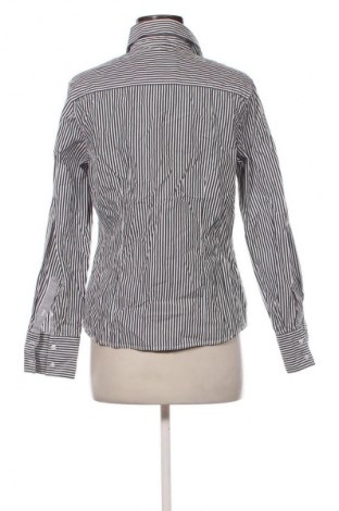 Damenbluse Basefield, Größe M, Farbe Mehrfarbig, Preis € 28,99