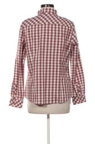 Damenbluse Brax, Größe L, Farbe Mehrfarbig, Preis 28,13 €