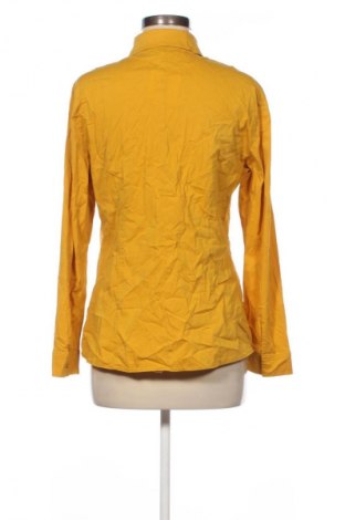 Damenbluse Didi, Größe L, Farbe Orange, Preis € 17,99