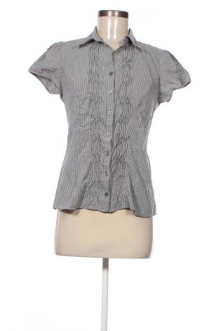 Damenbluse Dorothy Perkins, Größe M, Farbe Mehrfarbig, Preis € 14,99