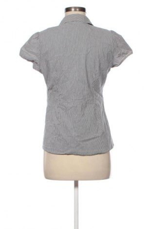 Damenbluse Dorothy Perkins, Größe M, Farbe Mehrfarbig, Preis € 14,99