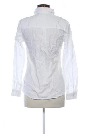 Damenbluse Dorothy Perkins, Größe M, Farbe Weiß, Preis € 23,99