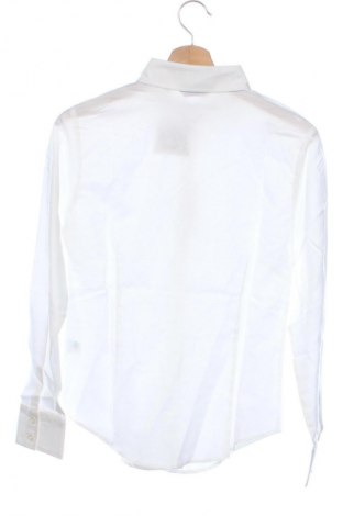 Γυναικείο πουκάμισο Fruit Of The Loom, Μέγεθος XS, Χρώμα Λευκό, Τιμή 25,99 €