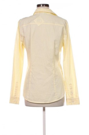 Damenbluse H&M, Größe XL, Farbe Gelb, Preis 12,79 €