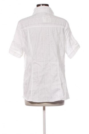 Damenbluse Ms Mode, Größe XXL, Farbe Weiß, Preis € 13,00