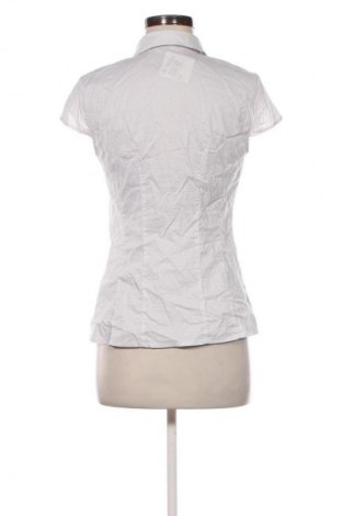 Damenbluse Orsay, Größe M, Farbe Mehrfarbig, Preis € 13,99