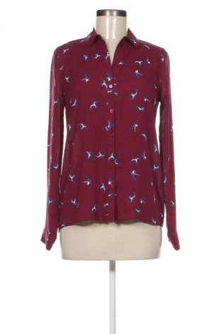 Damenbluse Primark, Größe S, Farbe Mehrfarbig, Preis 7,99 €