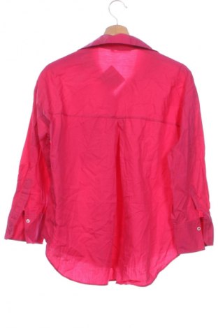 Damenbluse Zara, Größe XS, Farbe Rosa, Preis € 18,99