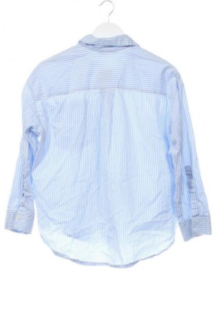 Damenbluse Zara, Größe XS, Farbe Mehrfarbig, Preis € 13,80