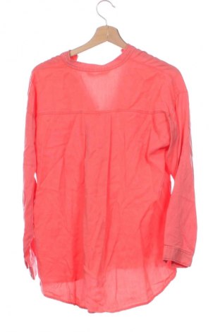 Damenbluse Zara, Größe XS, Farbe Rot, Preis € 14,00