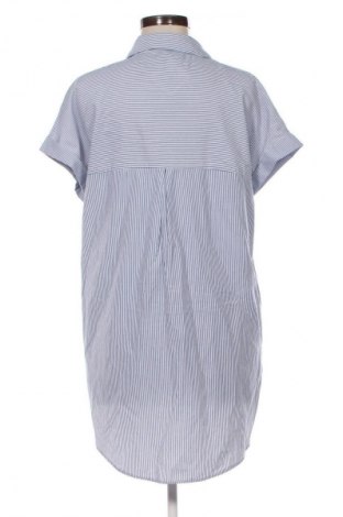 Damenbluse Zara Trafaluc, Größe S, Farbe Mehrfarbig, Preis € 11,99