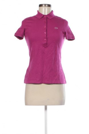Damski T-shirt Lacoste, Rozmiar S, Kolor Fioletowy, Cena 180,99 zł