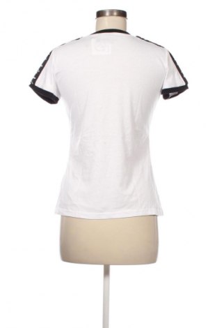 Damen T-Shirt Lotto, Größe M, Farbe Mehrfarbig, Preis € 12,99
