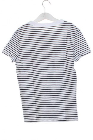 Dámske tričko Zara, Veľkosť XS, Farba Viacfarebná, Cena  12,79 €