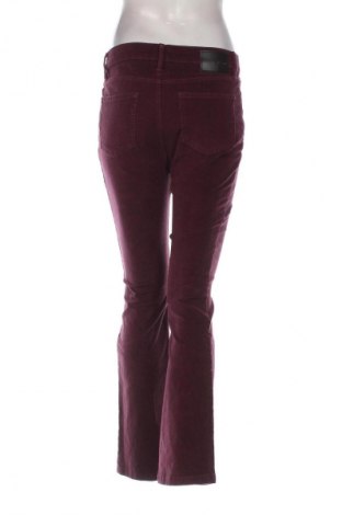Γυναικείο κοτλέ παντελόνι Calvin Klein Jeans, Μέγεθος M, Χρώμα Βιολετί, Τιμή 41,94 €