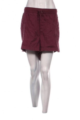 Damen Shorts Gap, Größe XXL, Farbe Lila, Preis 13,81 €