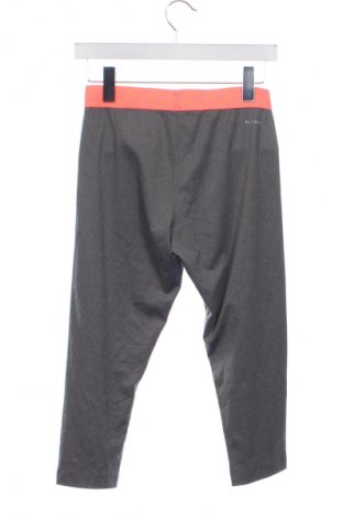 Γυναικείο κολάν Reebok, Μέγεθος XS, Χρώμα Γκρί, Τιμή 8,99 €