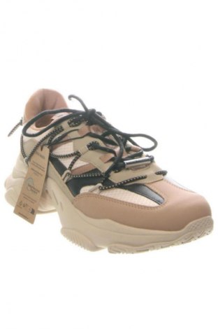 Damenschuhe Steve Madden, Größe 41, Farbe Mehrfarbig, Preis 61,99 €