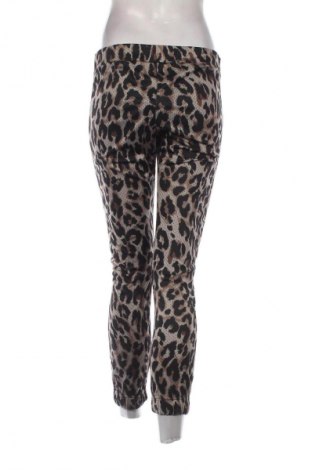 Damenhose Calzedonia, Größe S, Farbe Mehrfarbig, Preis € 28,99