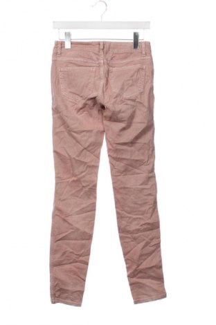 Damenhose Closed, Größe XS, Farbe Aschrosa, Preis € 119,99